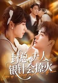 封总,夫人银针会撩火