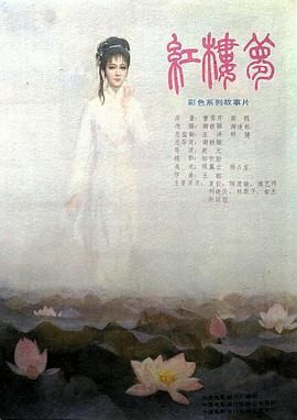 红楼梦第六部:宝玉化石
